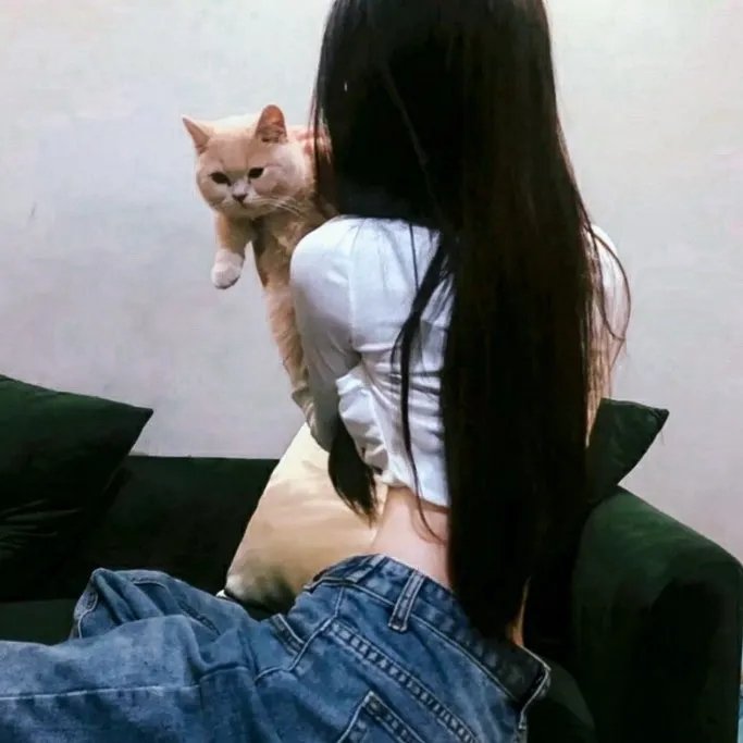 卧虎潜龙